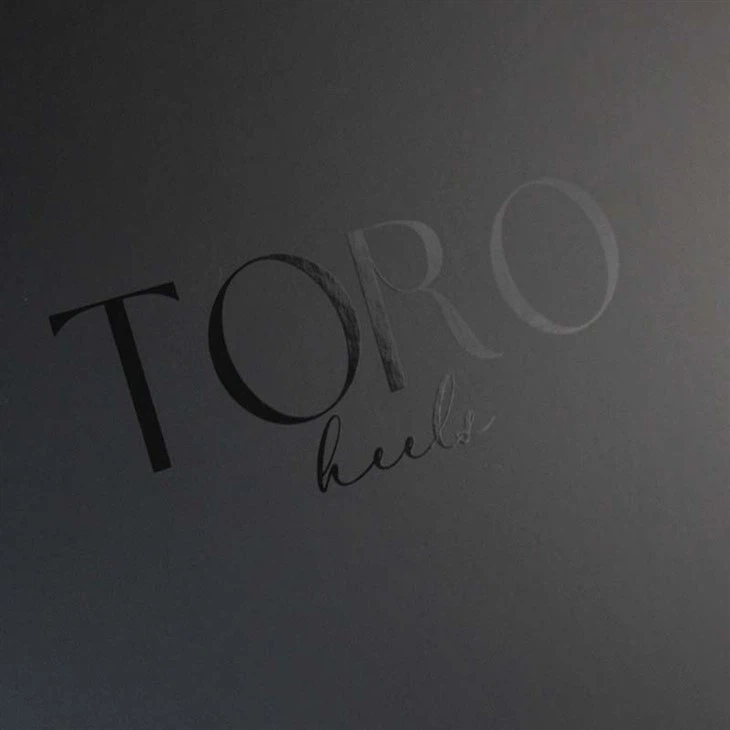 folding box with magnetic closure (5)
