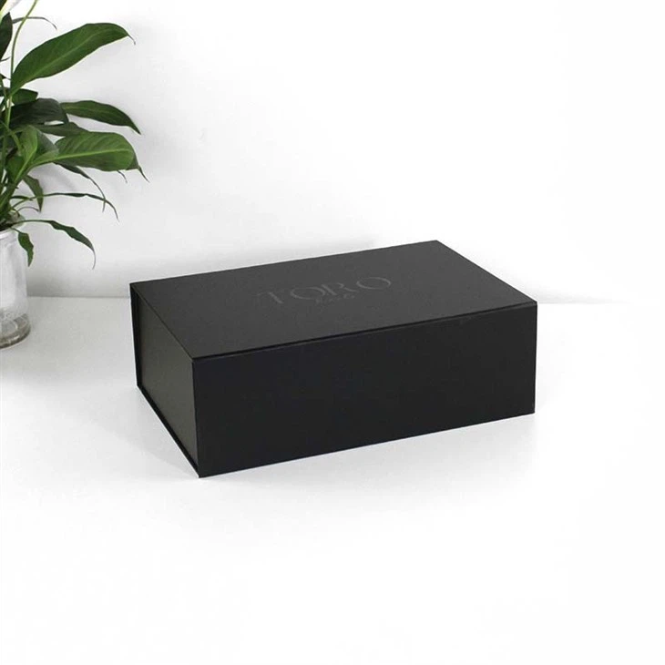 folding box with magnetic closure (3)